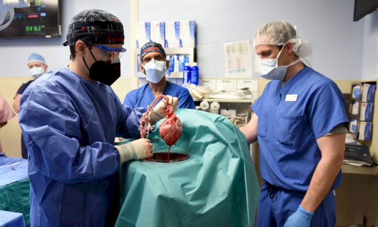 Técnico de Enfermagem no preparo do paciente cirúrgico